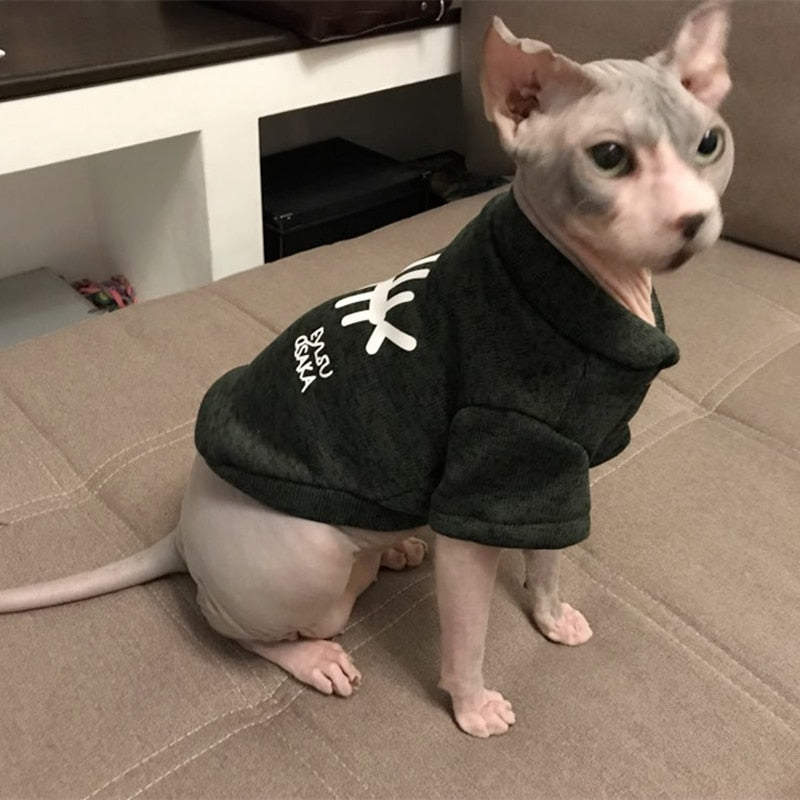 Pet