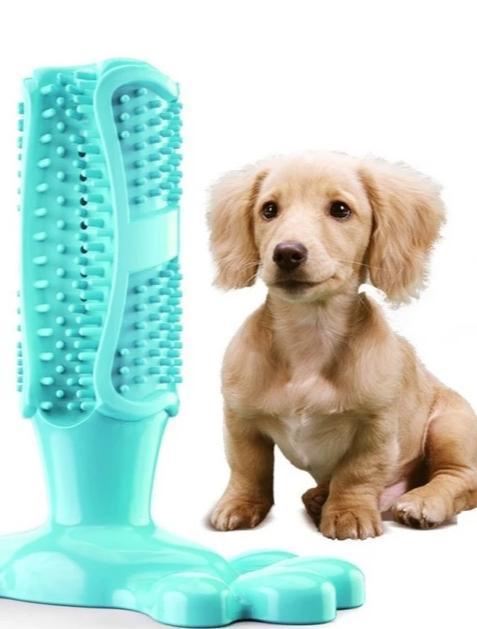 Pets Brushing Stick